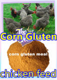 Corn Powder for Chicken Feed with Low Price