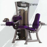 Seated Leg Curl Commercial Fitness Equipment (C1813)