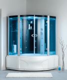 2013 Luxury Single Steam Shower Room, Steam Shower Room with Massage Jets and Contol Panel (WK-A12)
