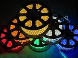 LED Strip Light 12V/24V SMD LED Christmas Light