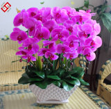 Artificial Faux Home Decor PU Material Best Quality Orchid Bonsai DIY Orchid