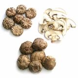 Organic Fragrant Mushroom