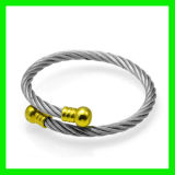 2012 Steel Colored Bracelet Jewellery (TPSBE253)