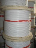 PVC/Nylon Coating Wire Rope (AISI304, 316)