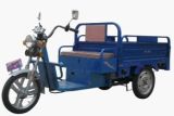 Electric Tricycle for Cargo (TDS019Z-SD-019)