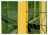 Fencing Wire Mesh