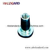 Hex Socket / Floor Screw