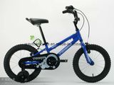 BMX Bike (WT-1609)