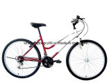 Lady Simple Model Bicycle for Hot Sale (SH-MTB221)