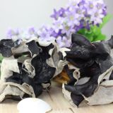 Dried White Back Black Fungus Wood Ear Mushroom Wholesale Prices