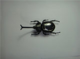Green Energy Product Intellectual DIY Solar Toy Kit Insect Beetle 218