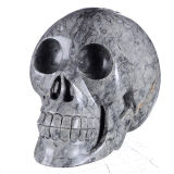 Natural Grey for Fossil Carved Skull Carving #7h23, Crystal Healing