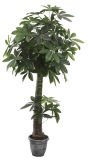 2m High Artificial Money Plant Tree 0048