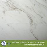 Marble White