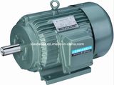 Induction Motor (Y Series)