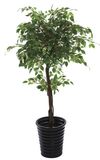 0263 Banyan Tree Bonsai Artificial Banyan