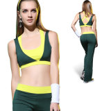 Exercise Outfits. Fitness Wear, Training Wear, Jogging Wear, Gym Wears