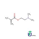 Dimethylaminoetyl Methacrylate