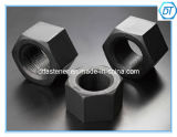 Hexagon Hex Nuts ASTM A194/A194m