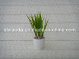 Artificial Plastic Grass Bonsai (XD14-31)