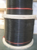 PVC Coating Wire Rope (AISI304, 316)