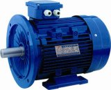 Three Phase Induction Electric Motor Kw