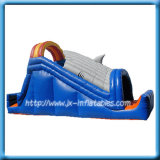 Inflatable Slides (T065)