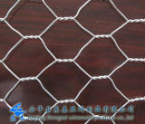 Hot-DIP/Electro Galvanized Hexagonal Wire Netting