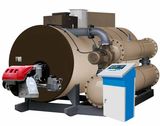 Solid Fuel Boiler
