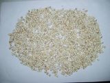 Organic Semen Coicis Seed