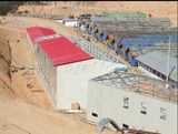 Prefabricated /Prefab /Modular/Movable/Mobile/Container /Steel Structure Building
