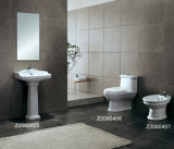Toilet Sanitary Ware (Z2060405-Z2060407)