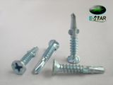 CSK Head With Wings Self Driling Screw (C1022)