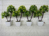 Artificial Plastic Potted Flower (XD15-317)