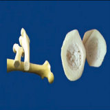 Medical Teaching Human Skeleton Model Educational Equipment (R010101)