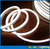 110V Home Decoration LED Flexible Neon Lighting