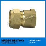 High Performance Brass Pipe Fitting Manufacturer (BW-501)