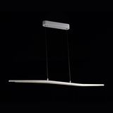 Modern LED Pendant Lamp (HS30089D)