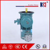 Variable Frequency Control Flameproof Electric Motors