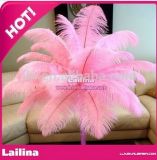 Natural and Fashion Colorful Ostrich Feathers for Wedding/Party Centerpieces