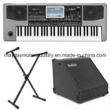 Korges PA900 Professional Arranger Keyboard with Stand and Amplifier