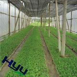 Green House Netting (1005G/M2)