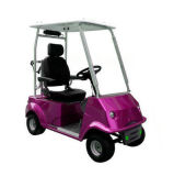 Battery Power Golf Car with One Seat
