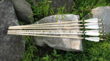 Wooden Arrow Shafts (7585)