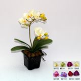 Artificial Potted Flower, Imitative Silk Orchid