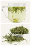 Speciality 100% Natural Green Tea Fresh Sweet Organic Green Tea Anji White Tea 8464