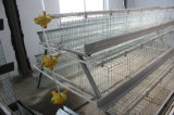 Automatic Drinking Feeding System for Poultry Cage Nigeria