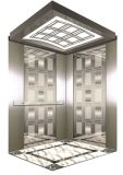 Luxurious Passenger Elevator Lift with ISO Certified Elevator (DAIS004-10)