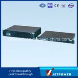 Seagull Series Line Interactive UPS Power Supply (800VA) (1U Height)