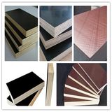 12mm Brown Film Faced Plywood Timber